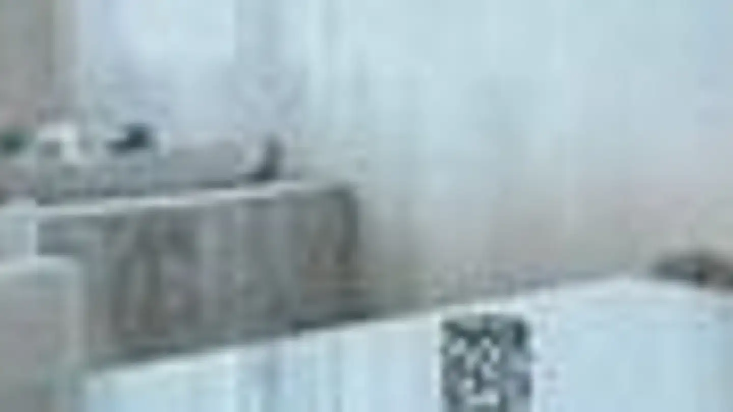 Duplex in affitto - Auwerstrasse 7, 5646 Abtwil AG