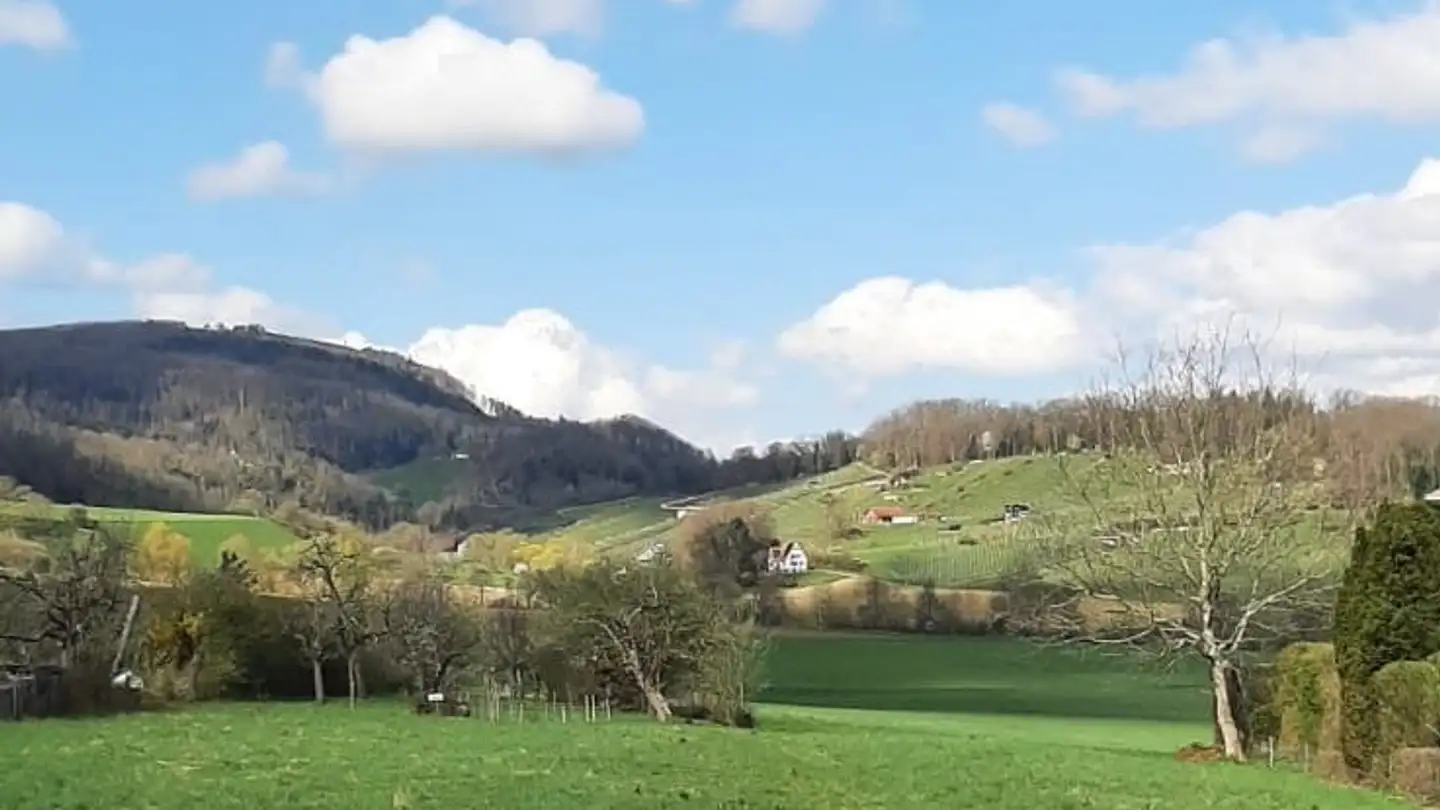 Appartamento in affitto - Kirschgartenstrasse 33, 4147 Aesch BL - Foto 3