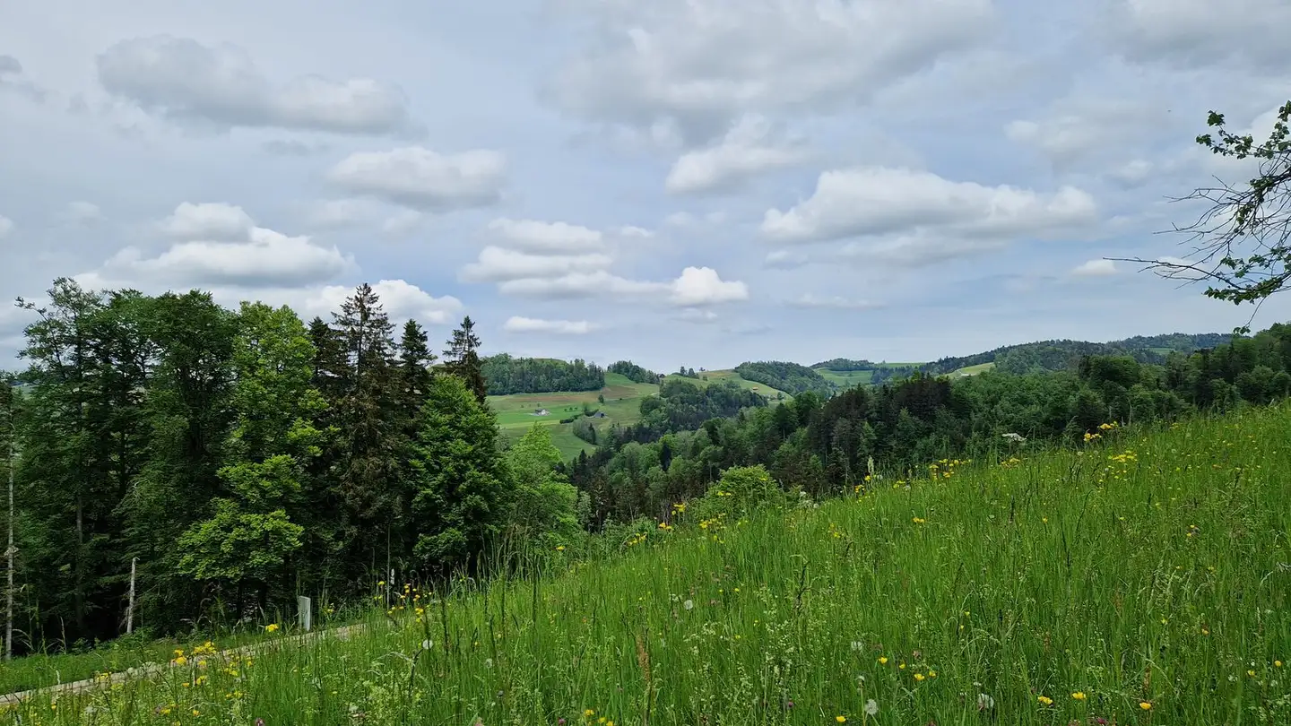 Terreno edificabile in vendita - Aeschstrasse 2, 9122 Mogelsberg - Photo 4