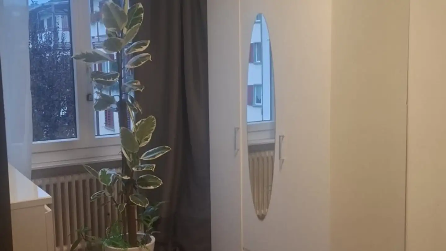 Stanza singola in affitto - 8953 Dietikon