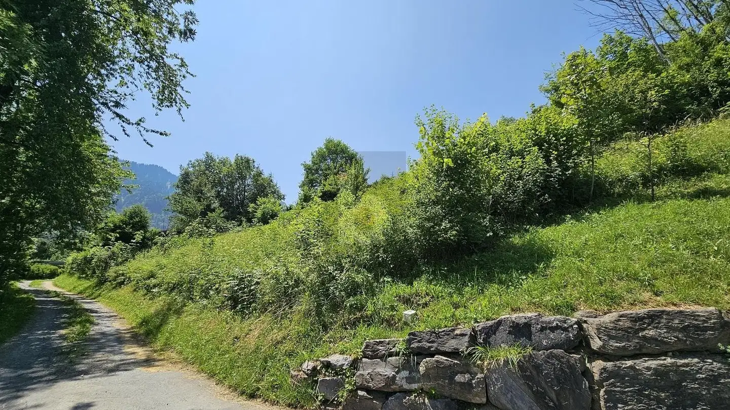 Constructible plot for sale - 1896 Miex - Photo 2