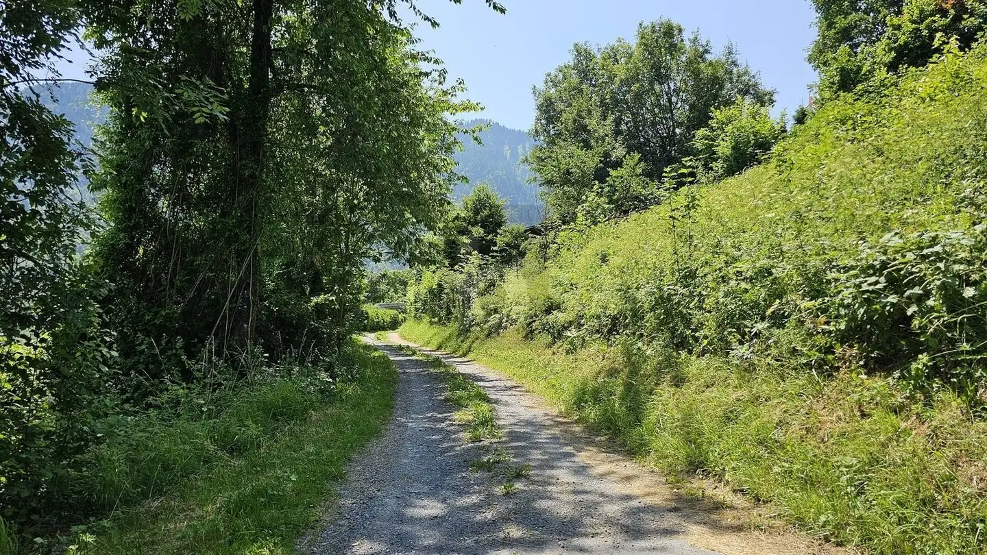 Constructible plot for sale - 1896 Miex - Photo 3