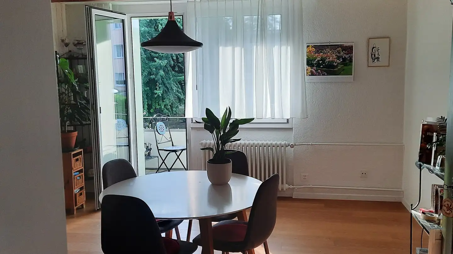 Appartement à louer - Erlenweg 10, 8634 Hombrechtikon - Photo 4