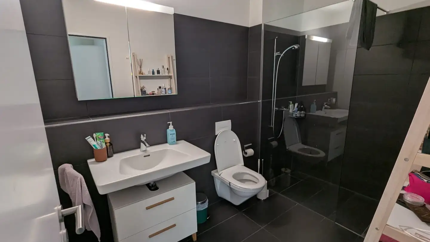 Appartamento in affitto - Ammerswilerstrasse 21b, 5600 Lenzburg - Photo 3