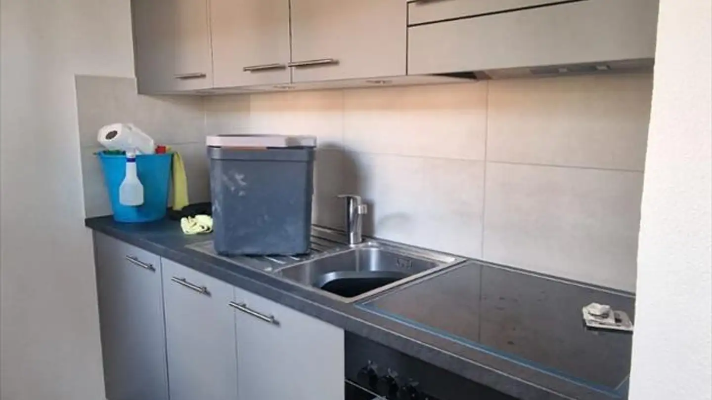 Studio in affitto - Avenue Des Alpes 66, 1814 La Tour-de-Peilz