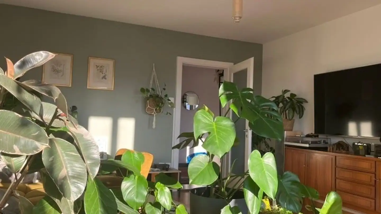 Single room for rent - Stampfenbachstrasse, 8006 Zürich - Photo 2