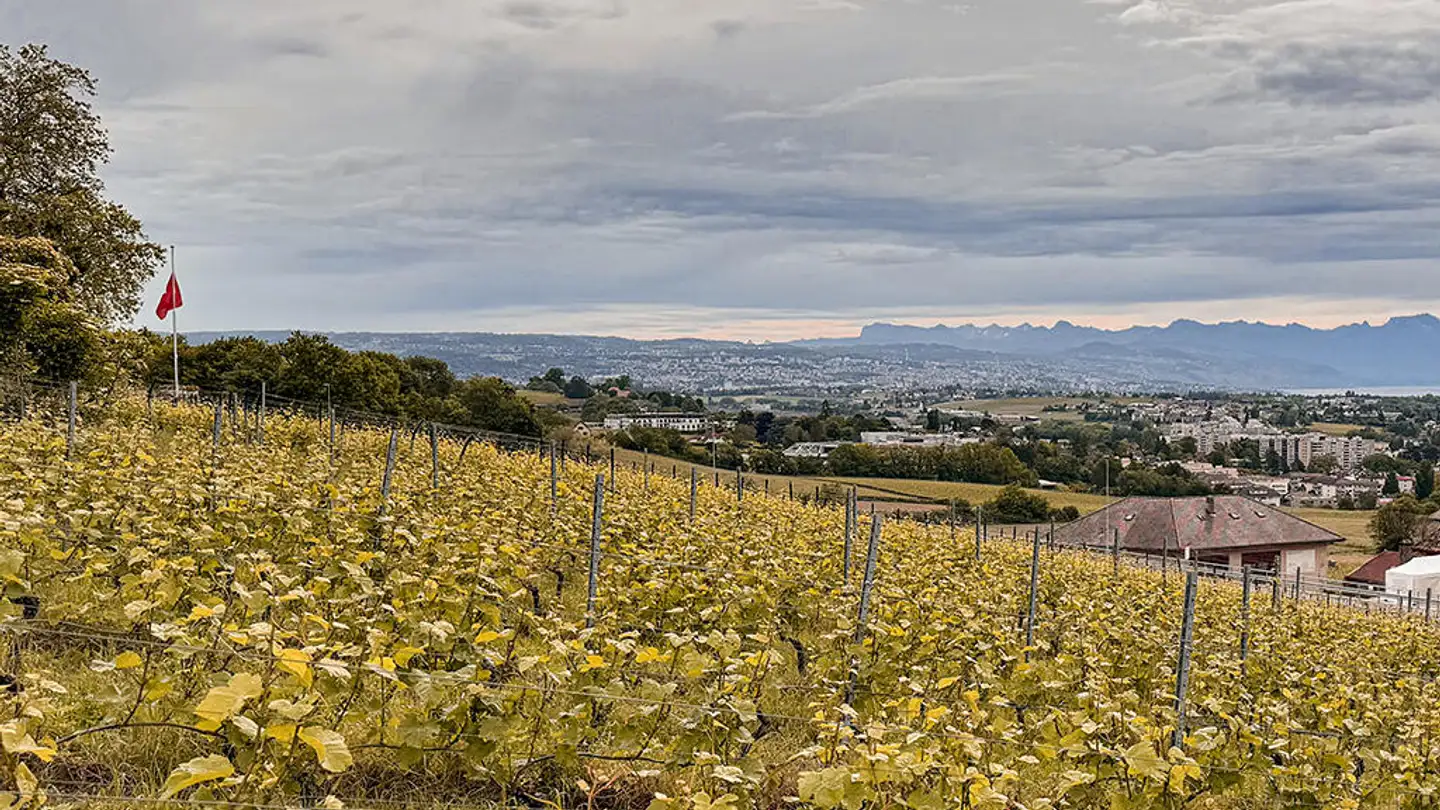 Villa in vendita - 1110 Morges - Photo 2