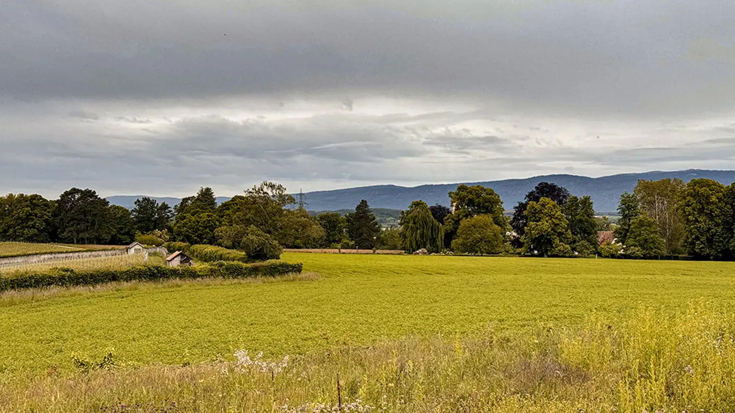 Villa in vendita - 1110 Morges - Photo 3