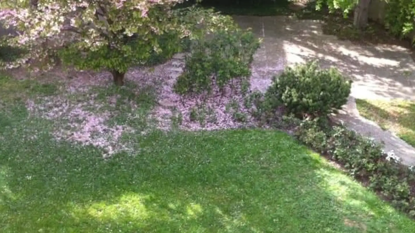 Appartamento in affitto - Holbeinstrasse 36, 4051 Basel