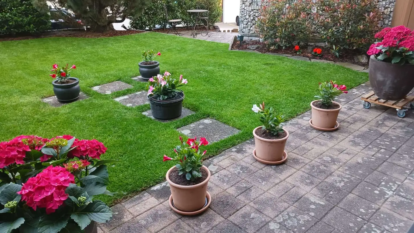 Appartement à vendre - 8914 Aeugst am Albis - Photo 3