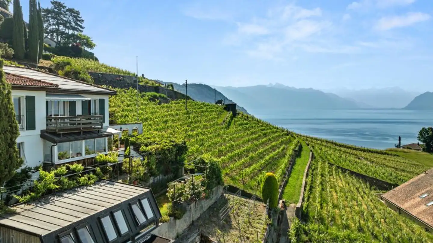 Casa singola in vendita - Route De La Côte-Aux-Vignes 29, 1096 Cully