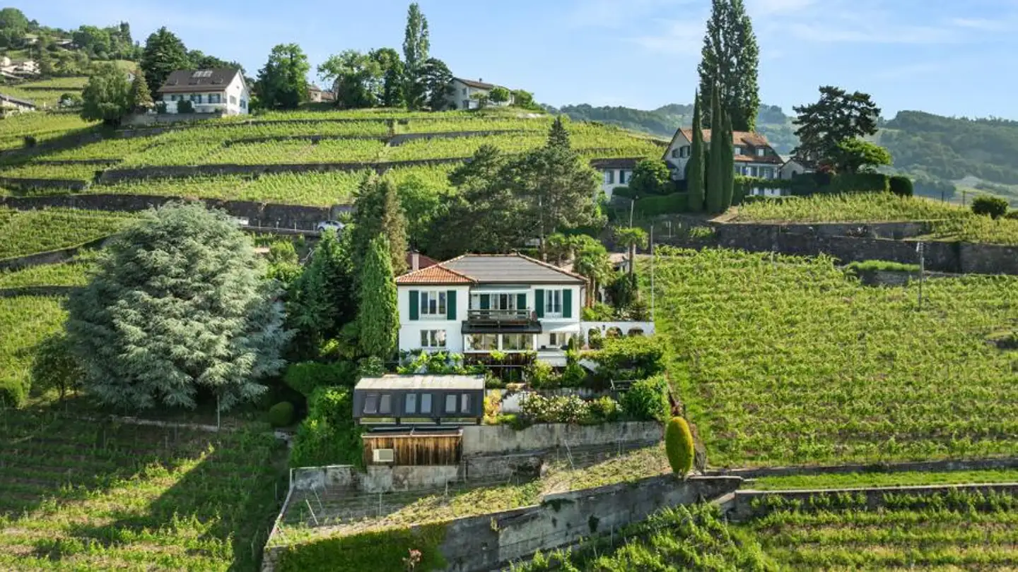 Casa singola in vendita - Route De La Côte-Aux-Vignes 29, 1096 Cully - Foto 2