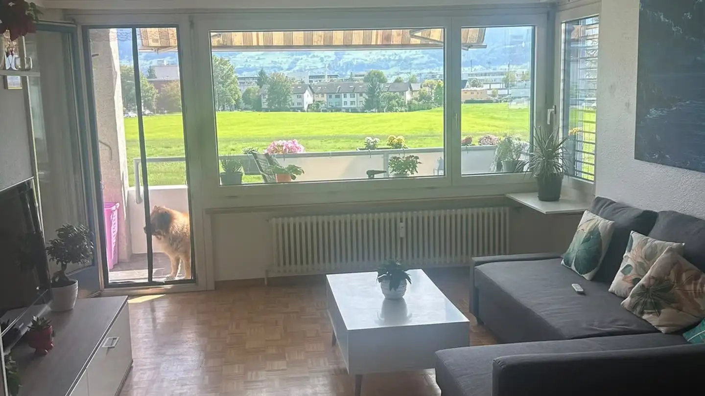 Furnished apartment for rent - Porthofstrasse, 8645 Jona