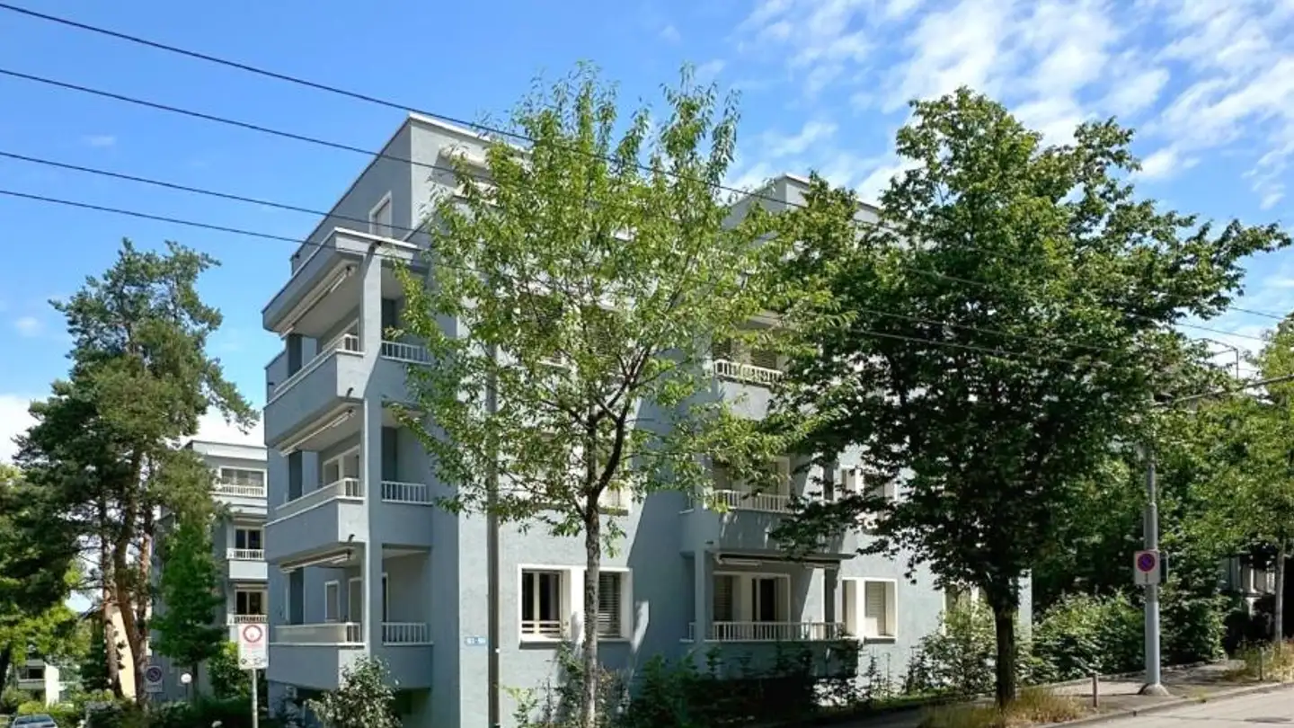 Outdoor parking space for rent - Triemlistrasse 153, 8047 Zürich