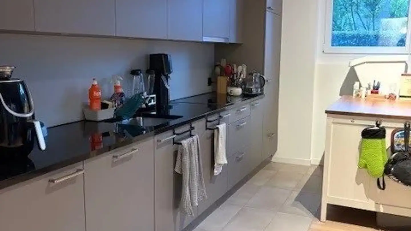 Appartamento in affitto - Chemin Du Rionzi 59, 1052 Le Mont-sur-Lausanne - Foto 3