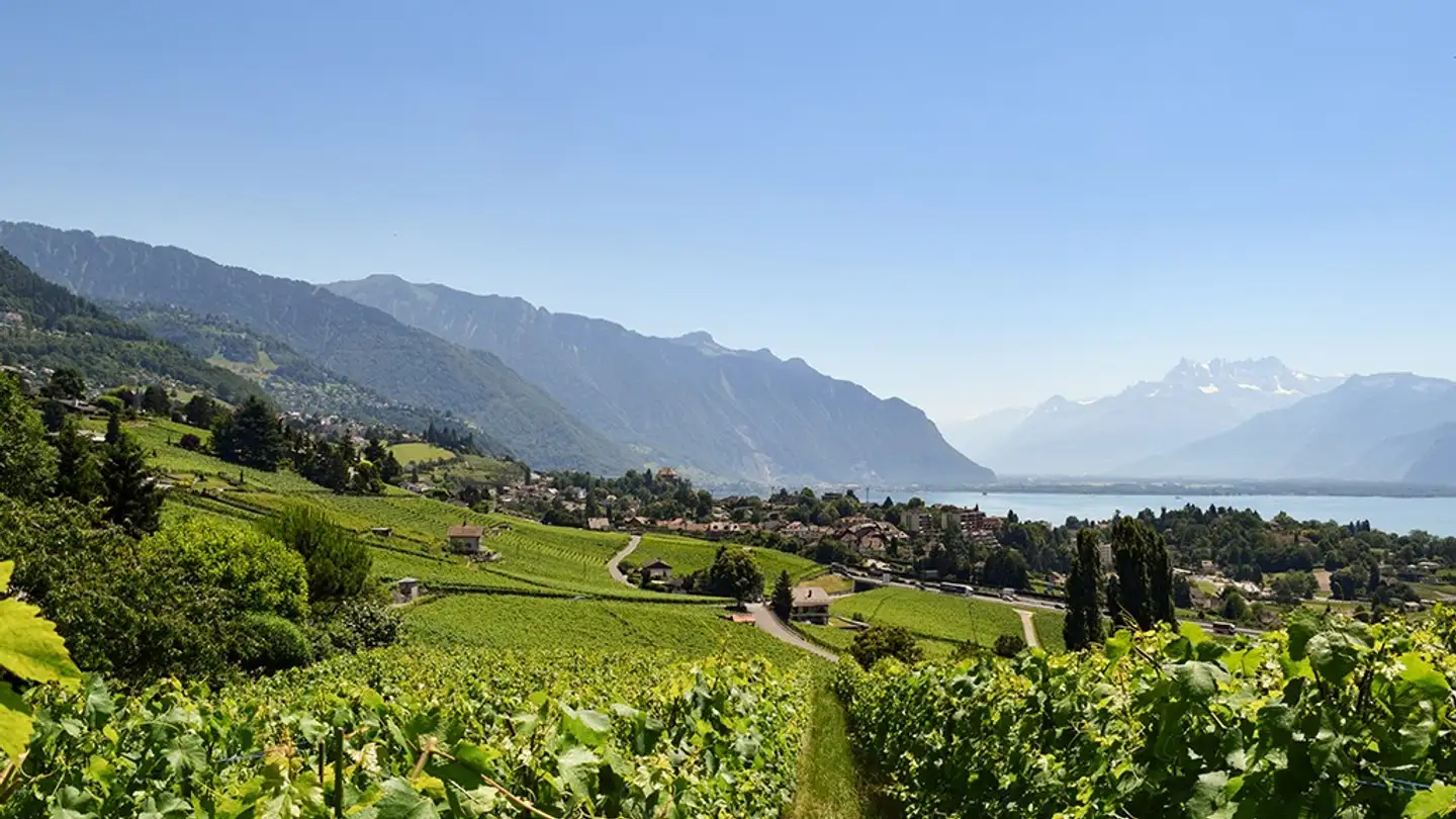 Single house for sale - 1807 Blonay