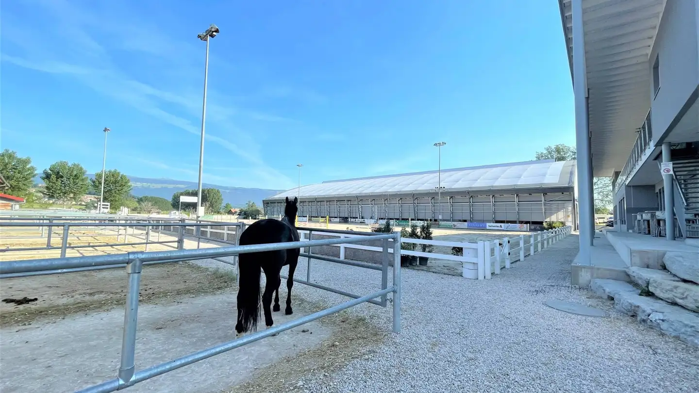 Salle de sport à vendre - 1400 Yverdon-les-Bains - Photo 4