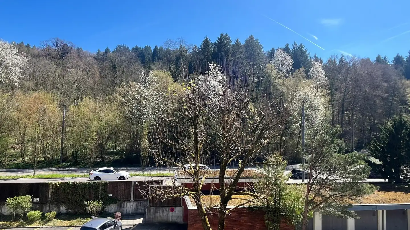 Wohnung kaufen - Mellingerstrasse 174, 5400 Baden - Foto 2