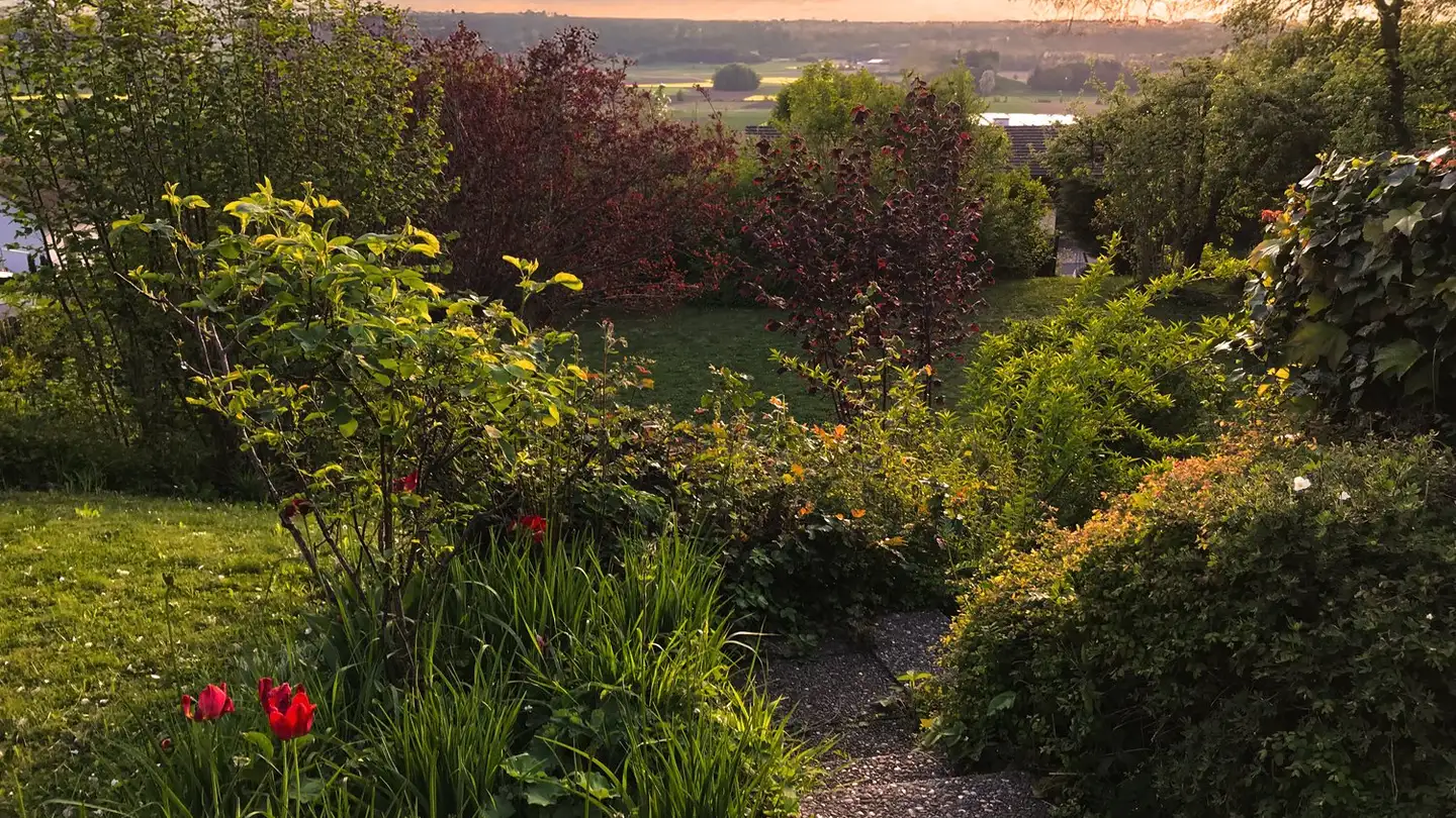 Maison individuelle à vendre - Heerenweg 8, 8476 Unterstammheim - Photo 3