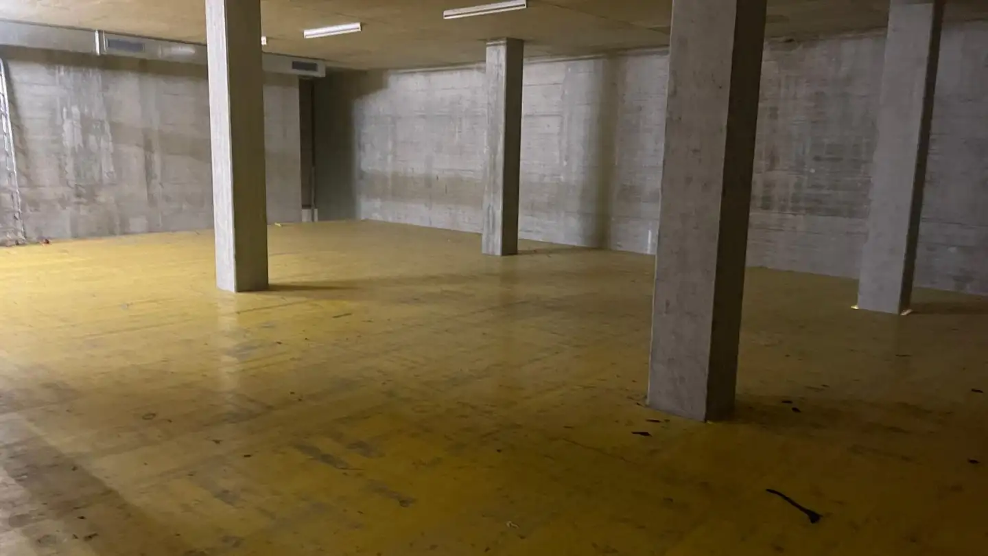 Espace de stockage à vendre - Langenhagstrasse, 4147 Aesch BL