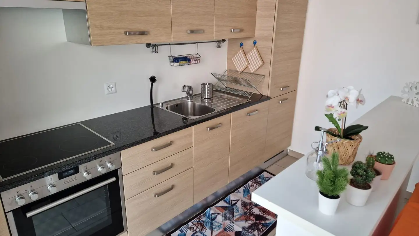 Wohnung mieten - Via Alle Caragne, 6900 Lugano - Foto 4