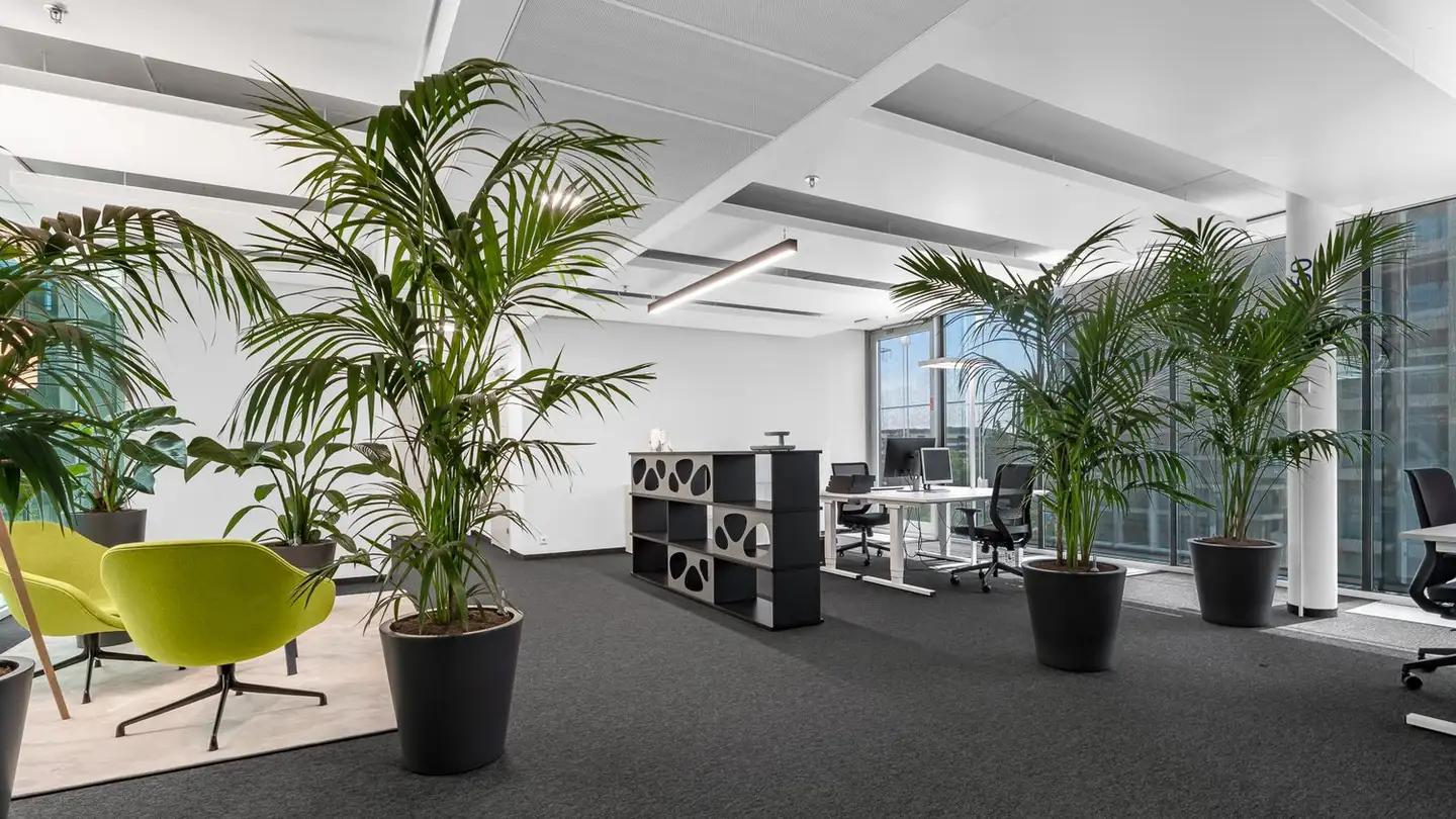 Bürofläche mieten - Thurgauerstrasse 80, 8050 Zürich - Foto 4