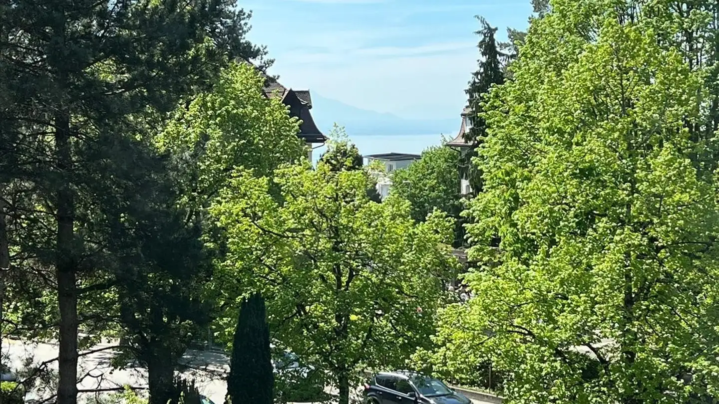 Appartamento in affitto - Chemin Des Allières, 1012 Lausanne - Foto 2