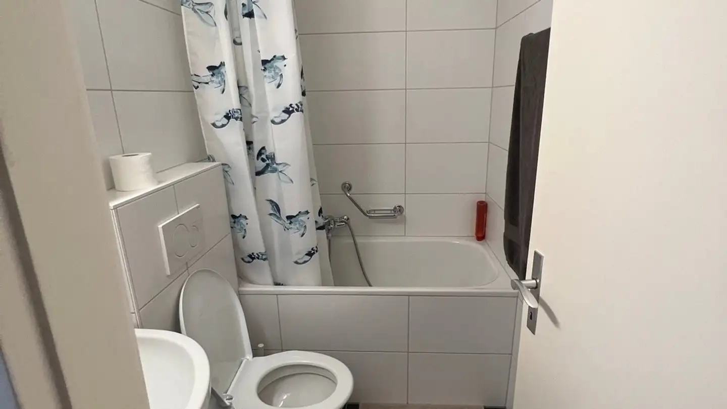 Appartamento in affitto - Chemin Des Allières, 1012 Lausanne - Foto 4