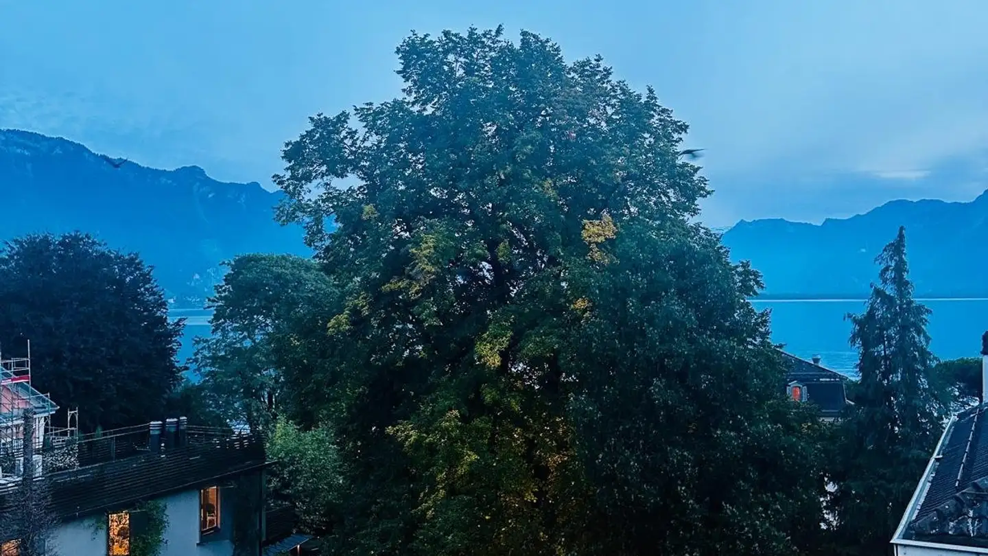 Appartamento in affitto - 1815 Clarens - Foto 4