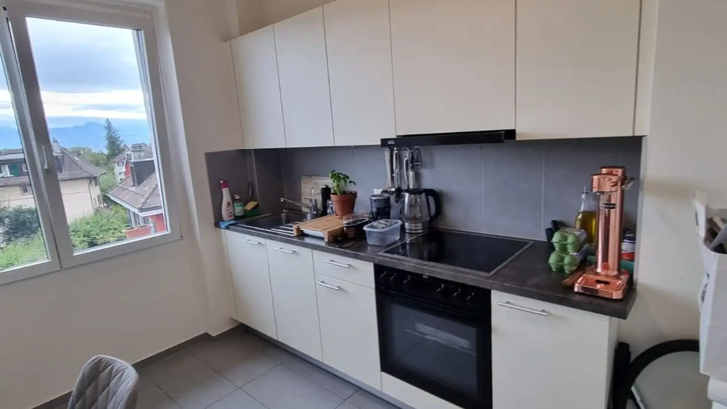 Appartamento in affitto - Chemin Des Diablerets 7a, 1012 Lausanne
