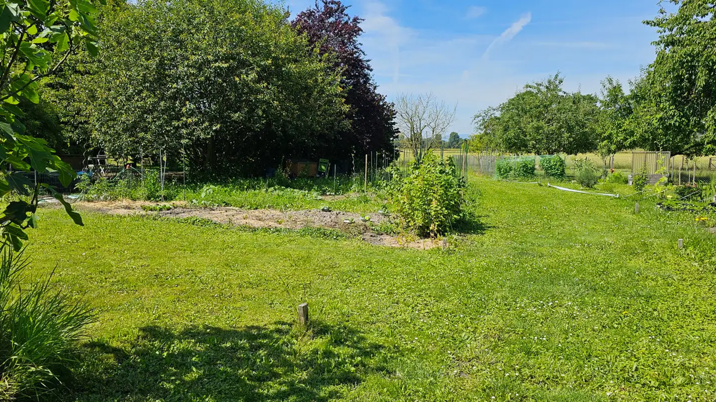 Azienda agricola in affitto - Ville 28, 2525 Le Landeron - Photo 2