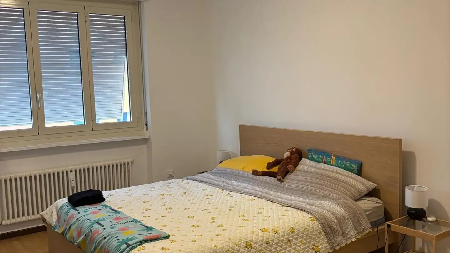 Appartamento in affitto - Via Antonio Chiesa 12, 6830 Chiasso - Foto 2