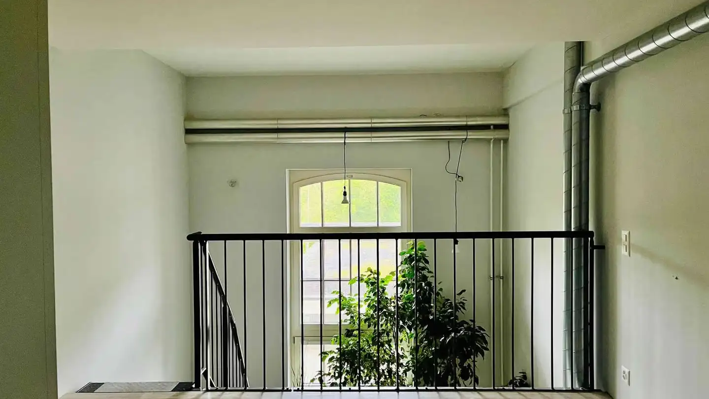 Commerciale in affitto - Museumstrasse 47, 5200 Brugg AG - Foto 3