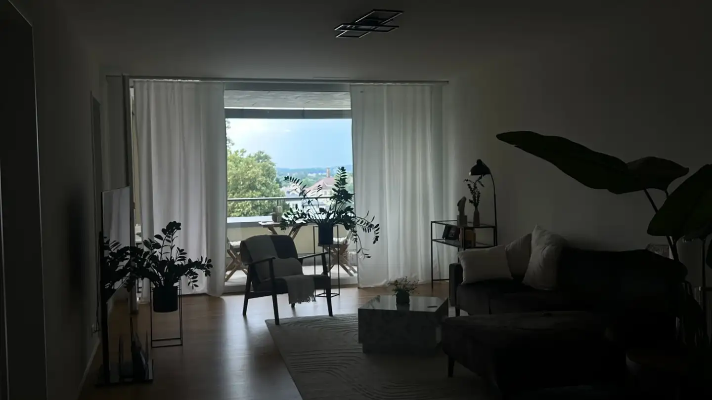 Appartamento in affitto - Palisadenweg, 4663 Aarburg