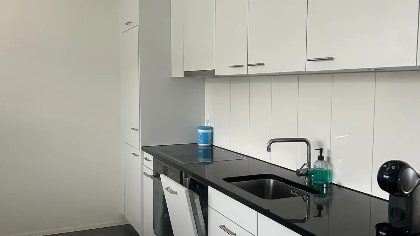 Appartamento in affitto - Palisadenweg, 4663 Aarburg - Foto 2