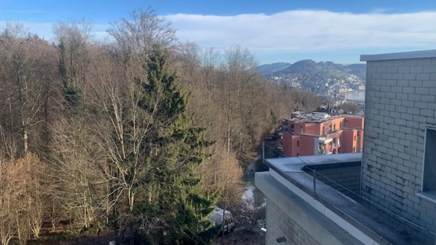 Apartment for rent - Obergütschstrasse 19, 6003 Luzern - Photo 2