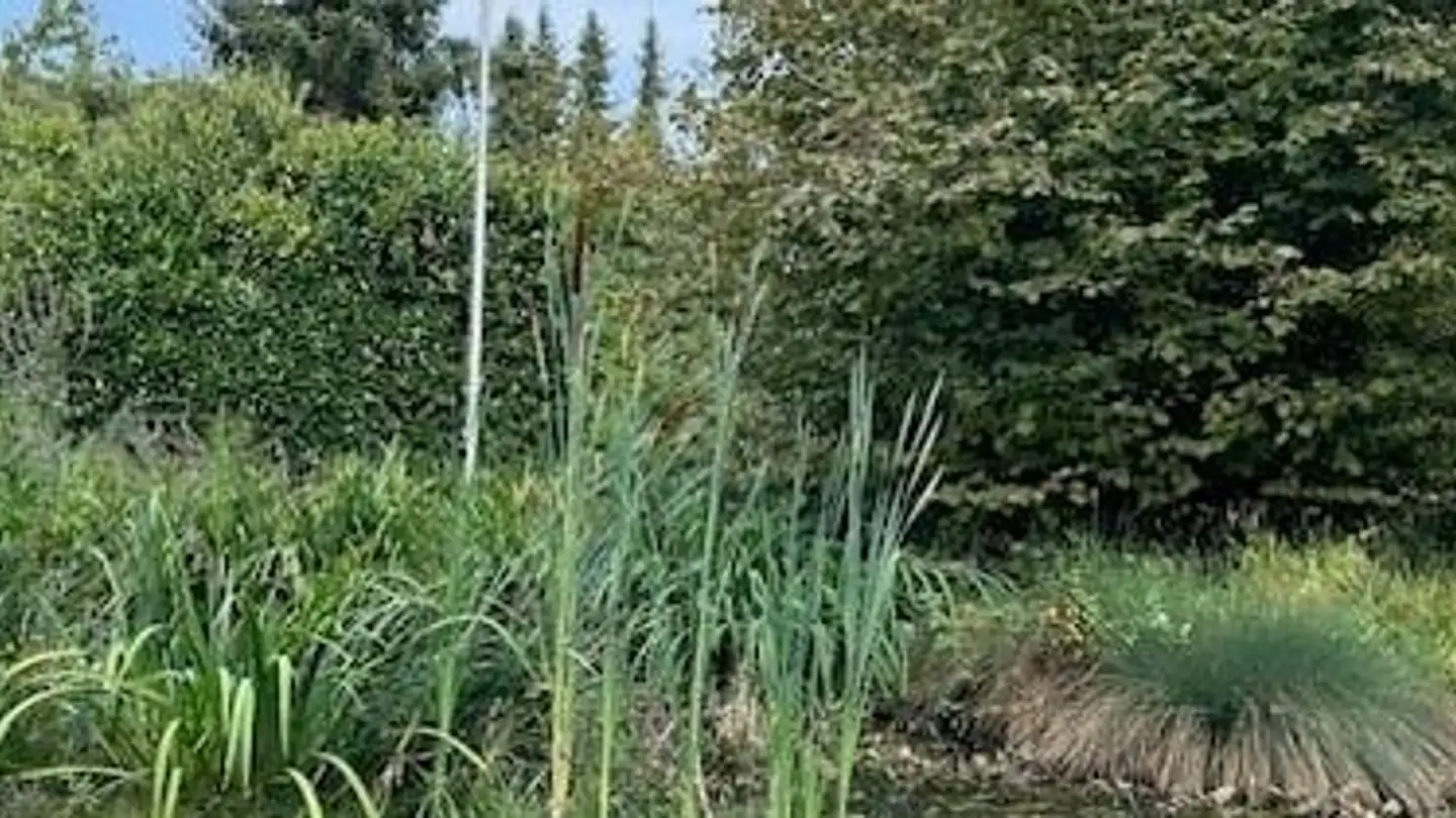 Casa singola in vendita - 3250 Lyss - Foto 4