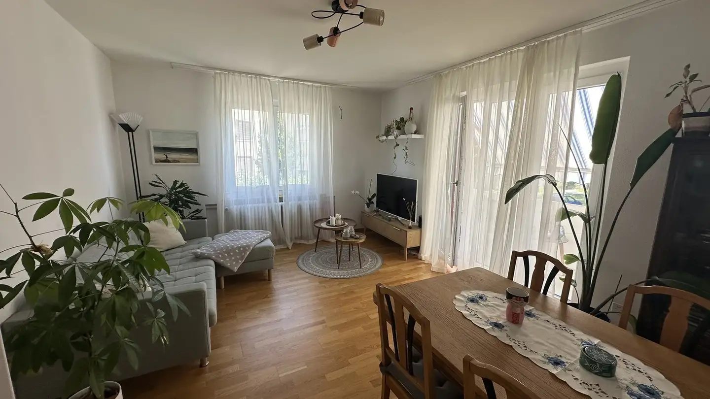 Apartment for rent - 8052 Zürich