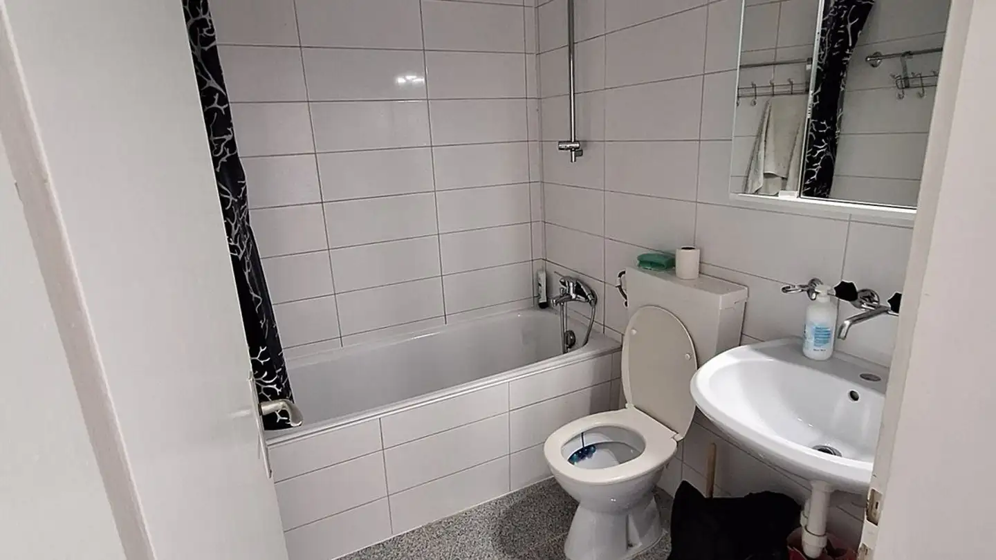 Wohnung mieten - Wiggerblock, 6260 Reiden - Foto 4