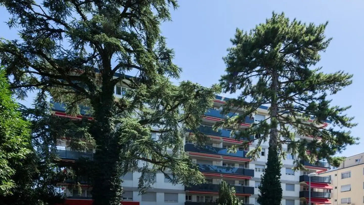 Appartement à louer - Rue Collet 6, 1800 Vevey - Photo 2