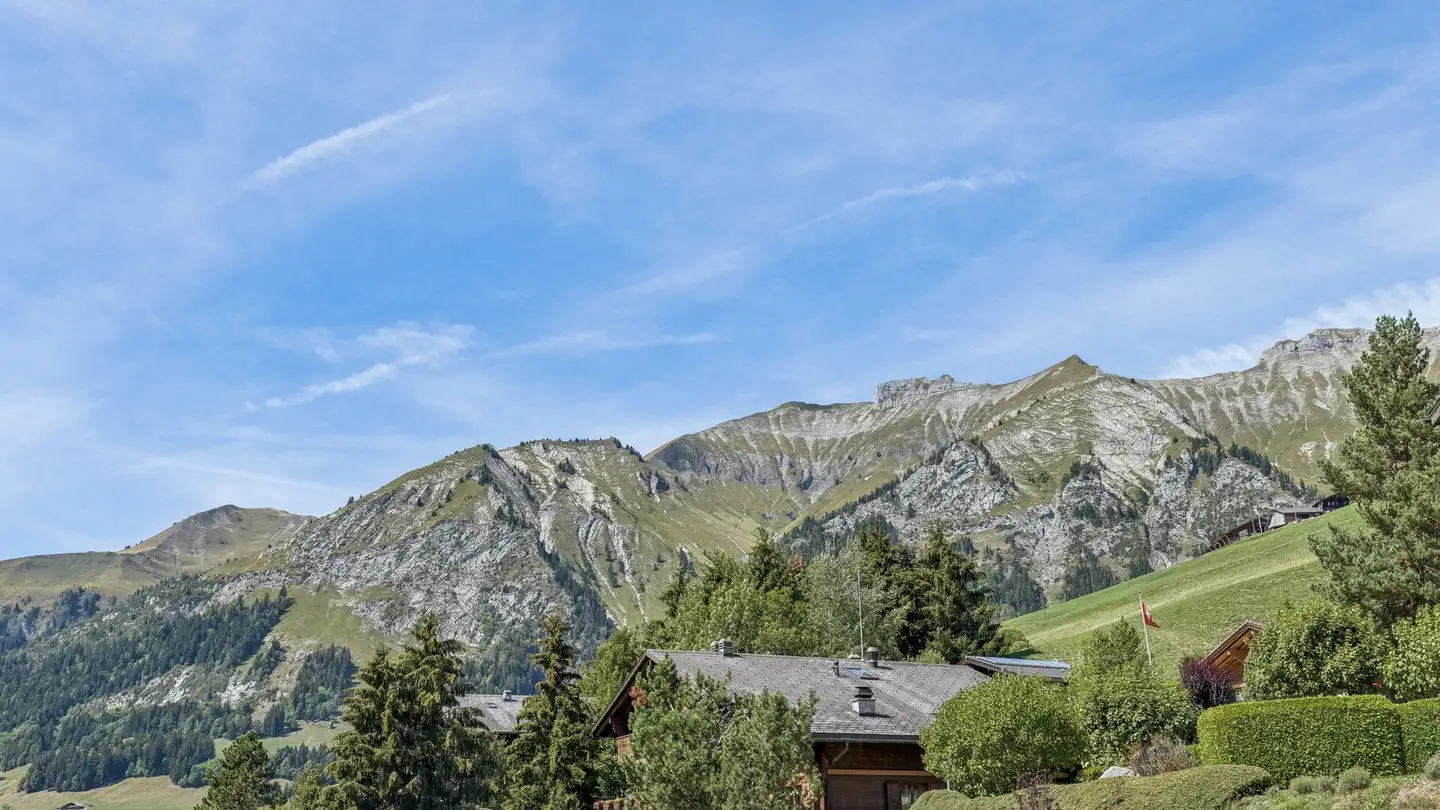 Casa singola in vendita - Route Du Mont 91, 1660 Château-d'Oex - Foto 2