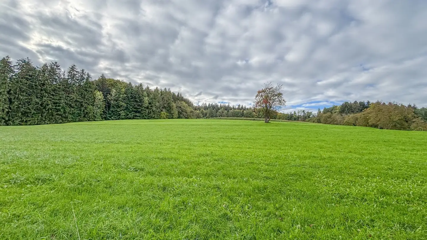 Bien immobilier à vendre - Erlackerstrasse, 9300 Wittenbach - Photo 4