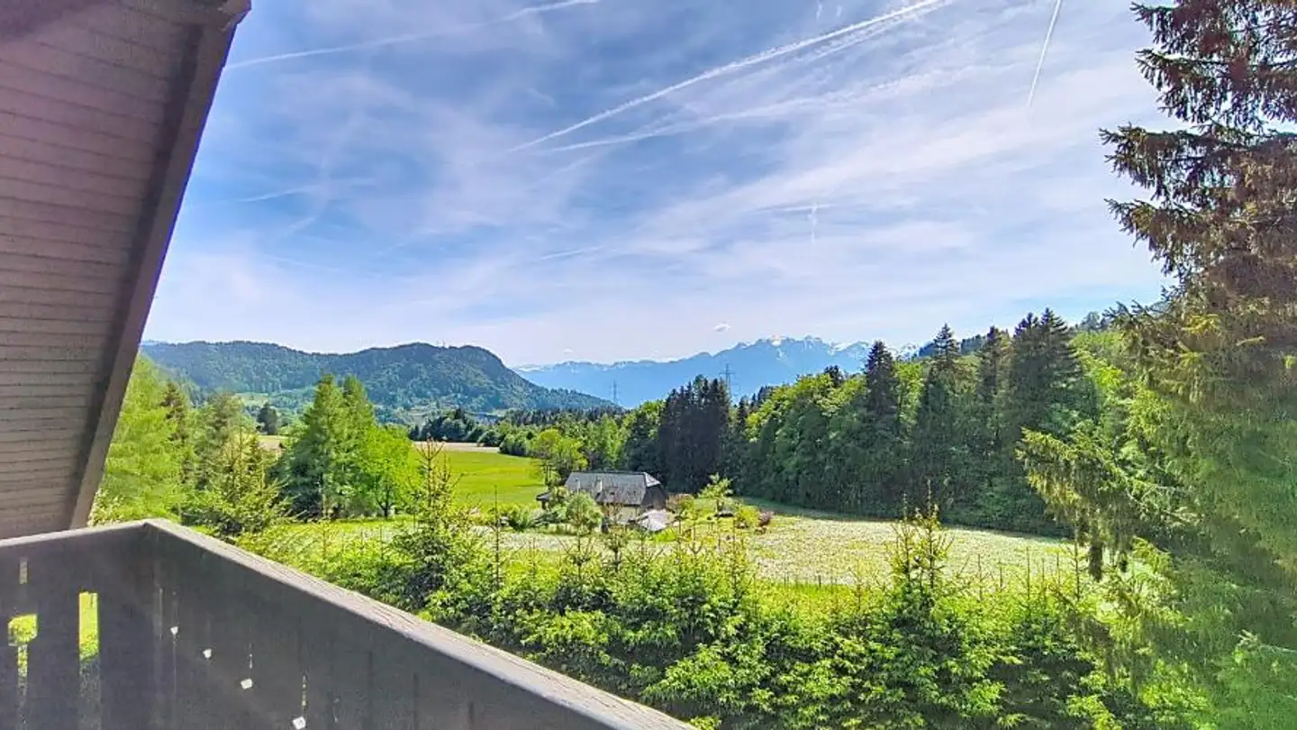Chalet à vendre - Route Du Vallon 89, 1832 Villard-sur-Chamby