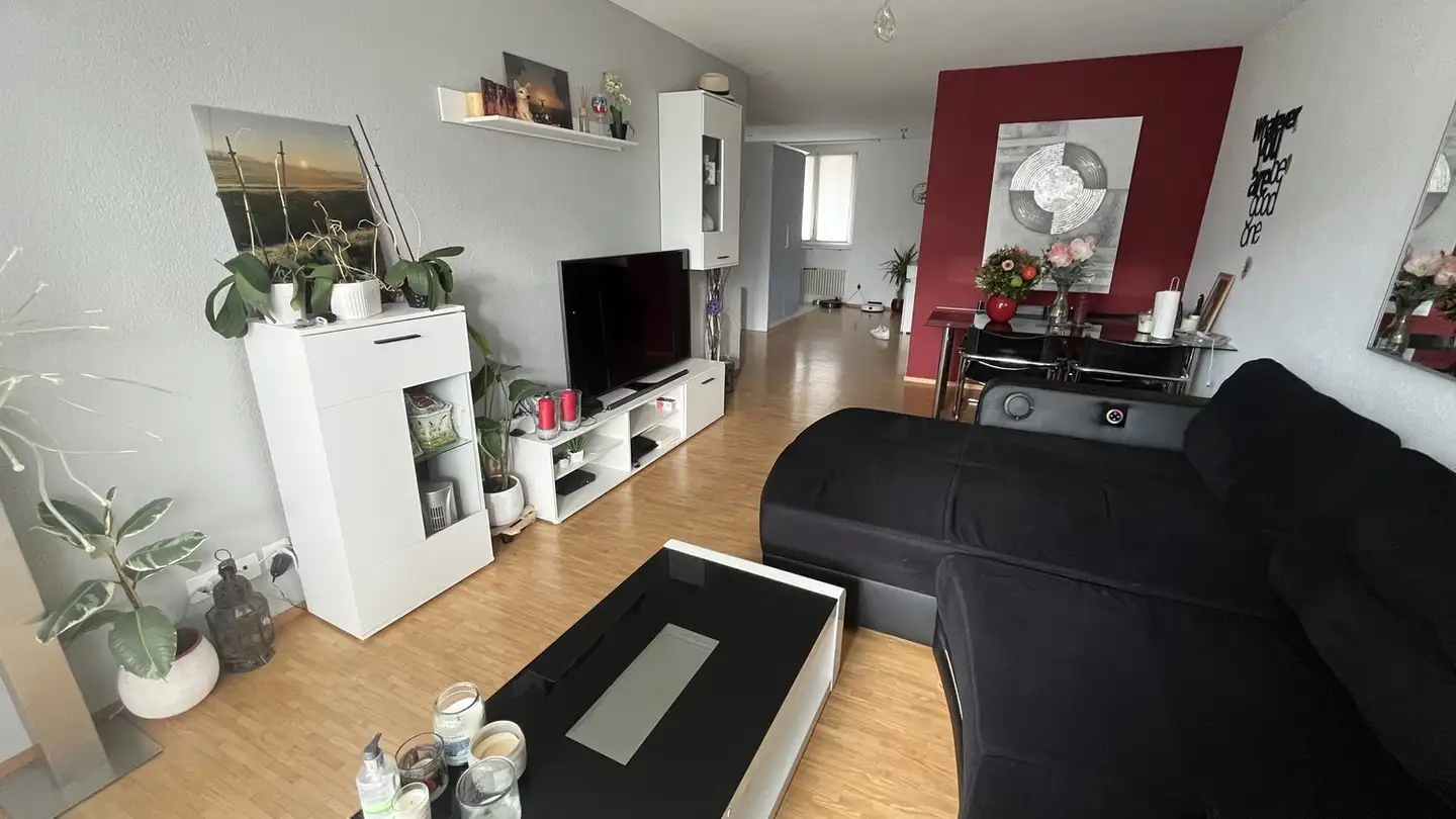 Appartamento in affitto - Stadlerstrasse 40, 8472 Seuzach - Photo 2