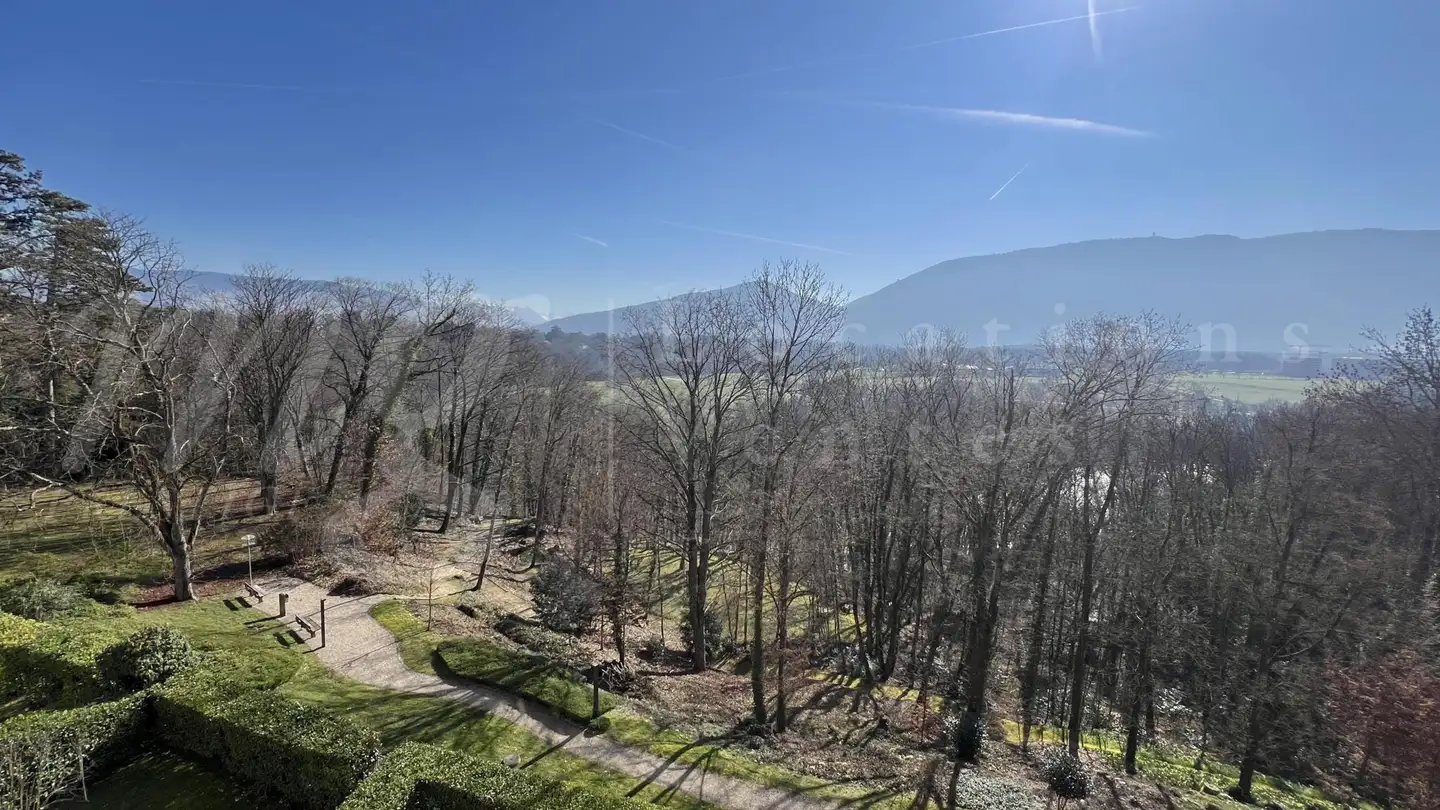 Wohnung mieten - 1206 Genève