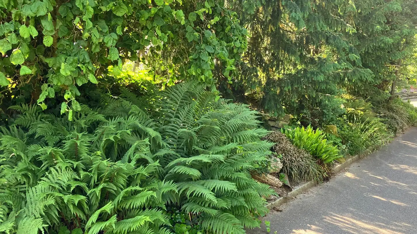 Maison individuelle à louer - Untergasse 28, 4922 Thunstetten - Photo 3
