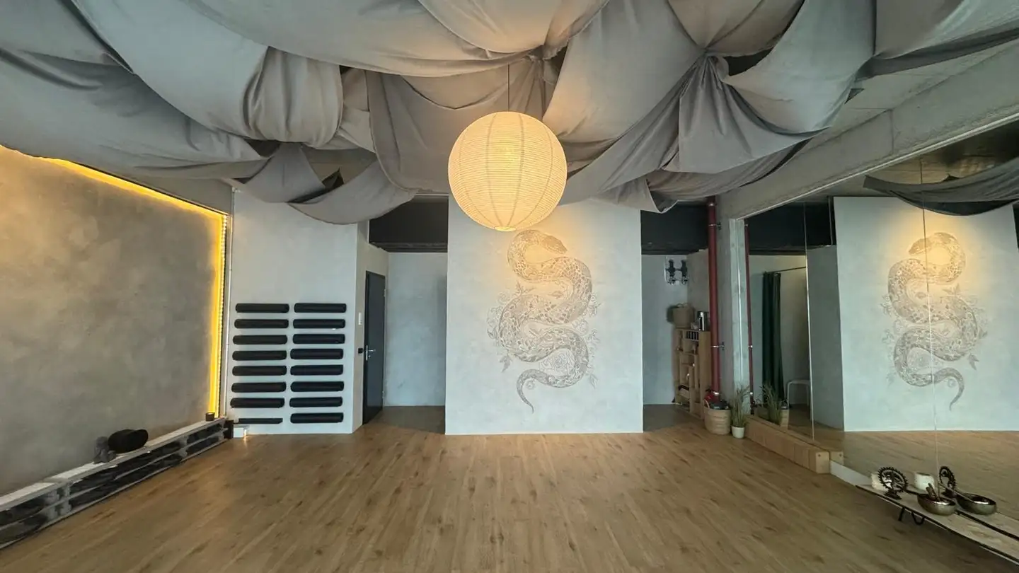 Commerciale in affitto - Flüelastrasse 16, 8048 Zürich - Foto 4