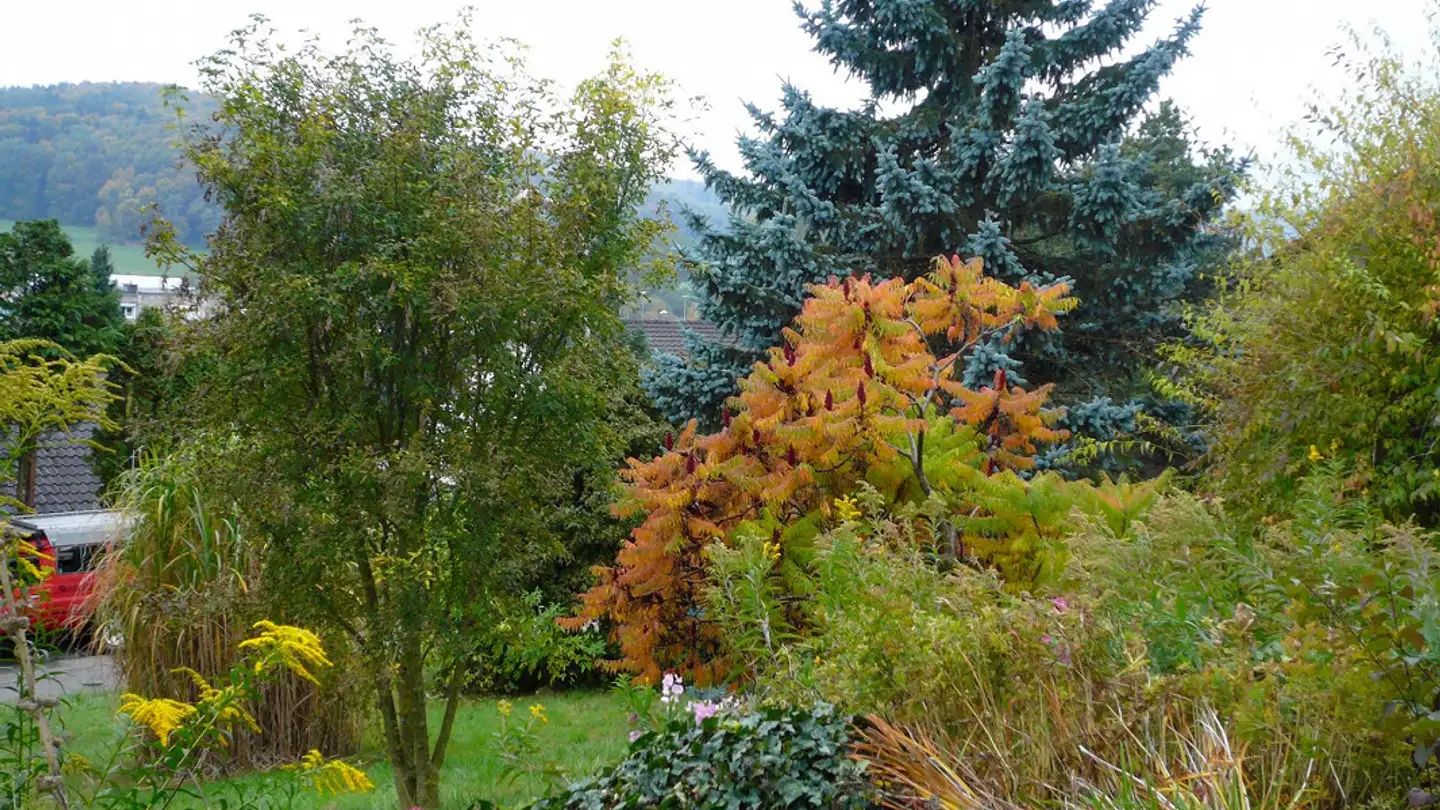 Single house for rent - Schwärziweg 27, 8222 Beringen - Photo 2