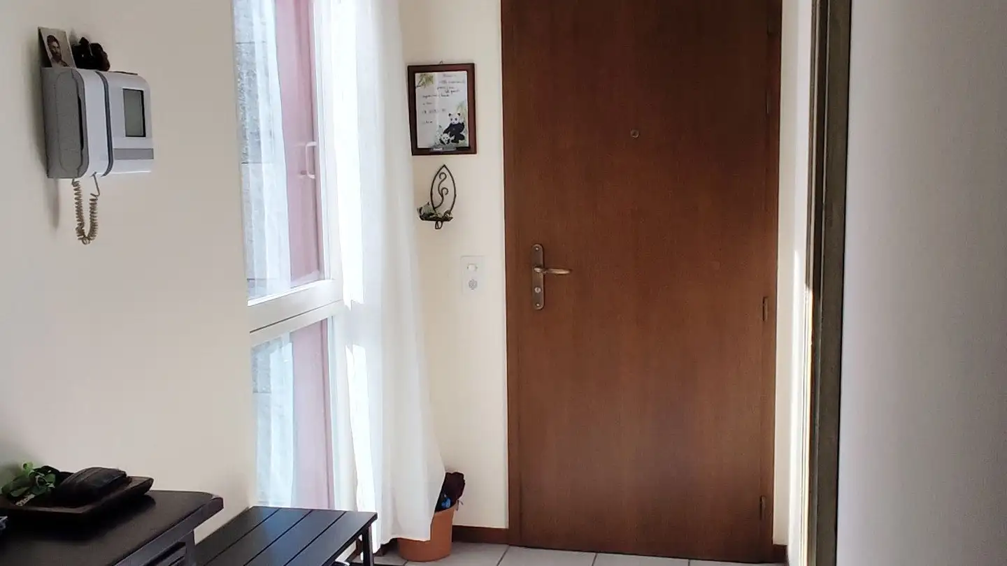 Apartment for rent - Via Vecchio Canale 3, 6982 Agno - Photo 2