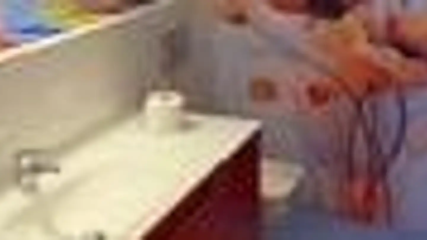 Studio in affitto - Chemin De La Nonnette, 1292 Chambésy - Photo 2